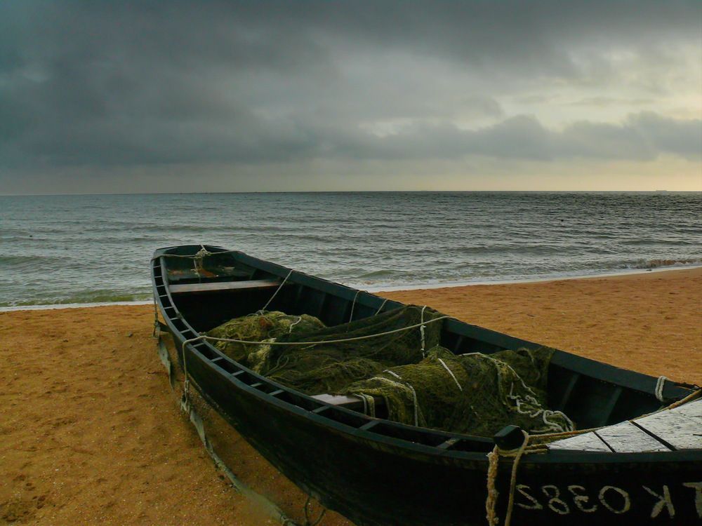 Фотография автора Анатолий Борисов