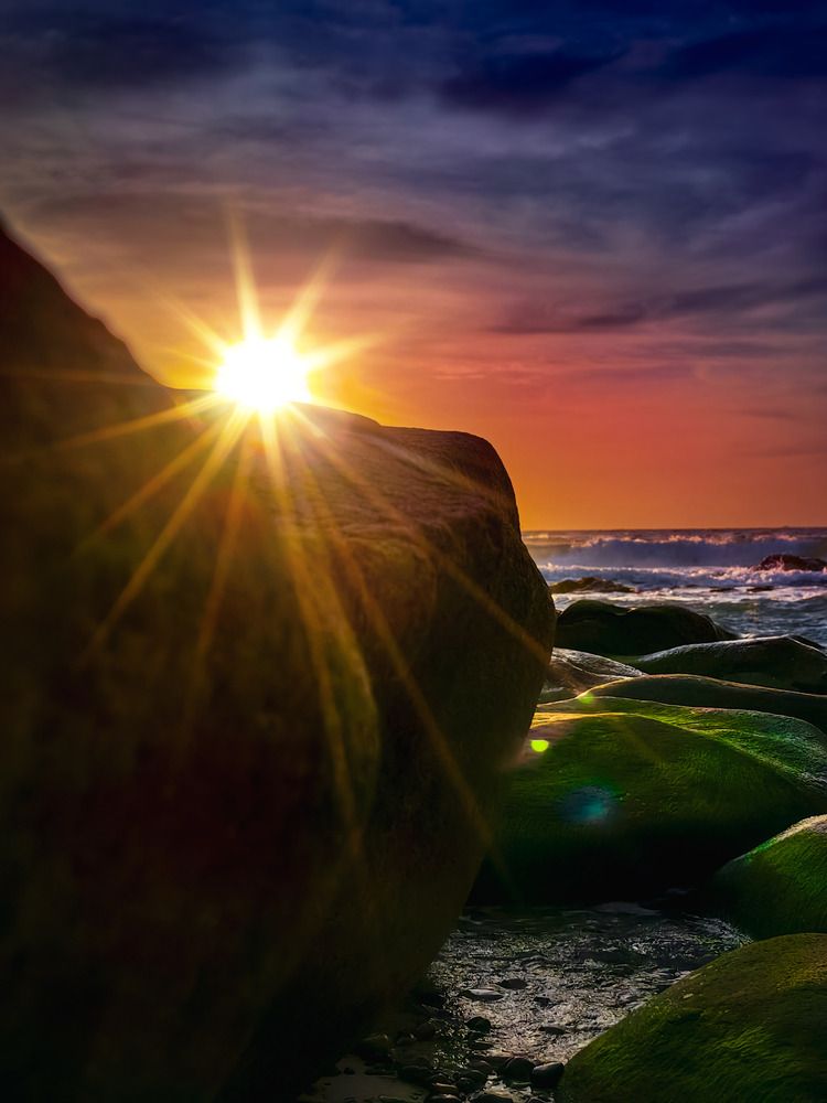 Photograph by Halo Nguyen