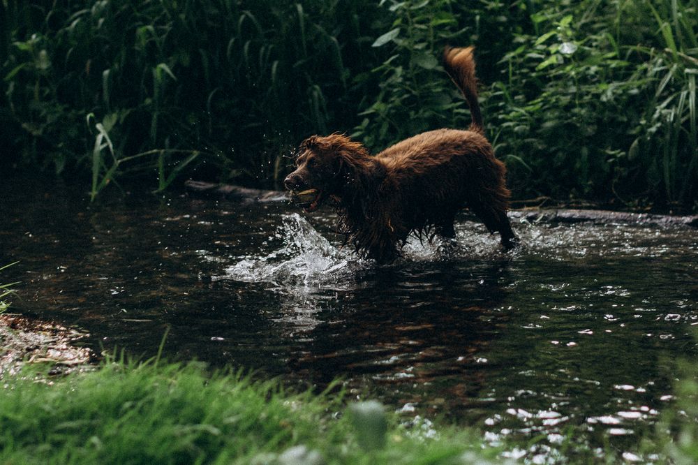 Photograph by Julia Pashkova