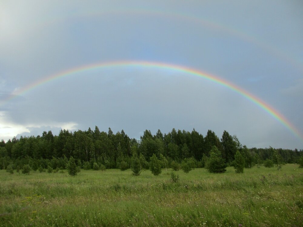Photo #12433887