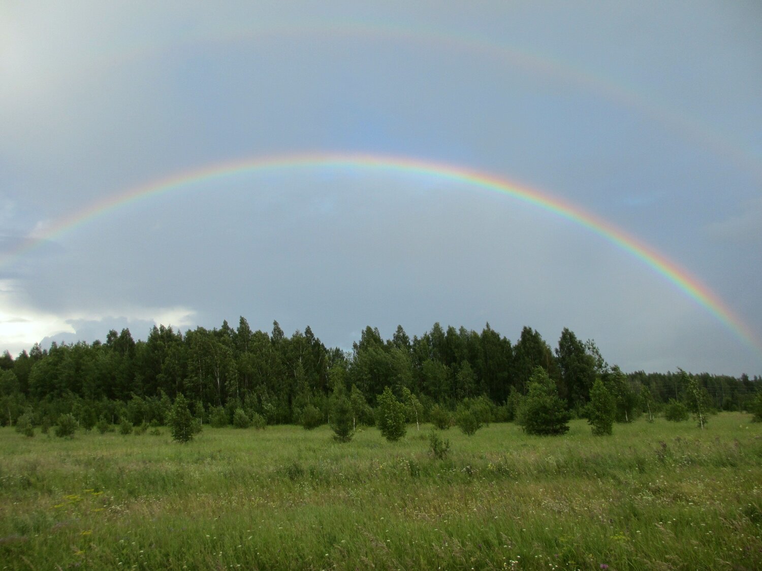 Photo #12433887