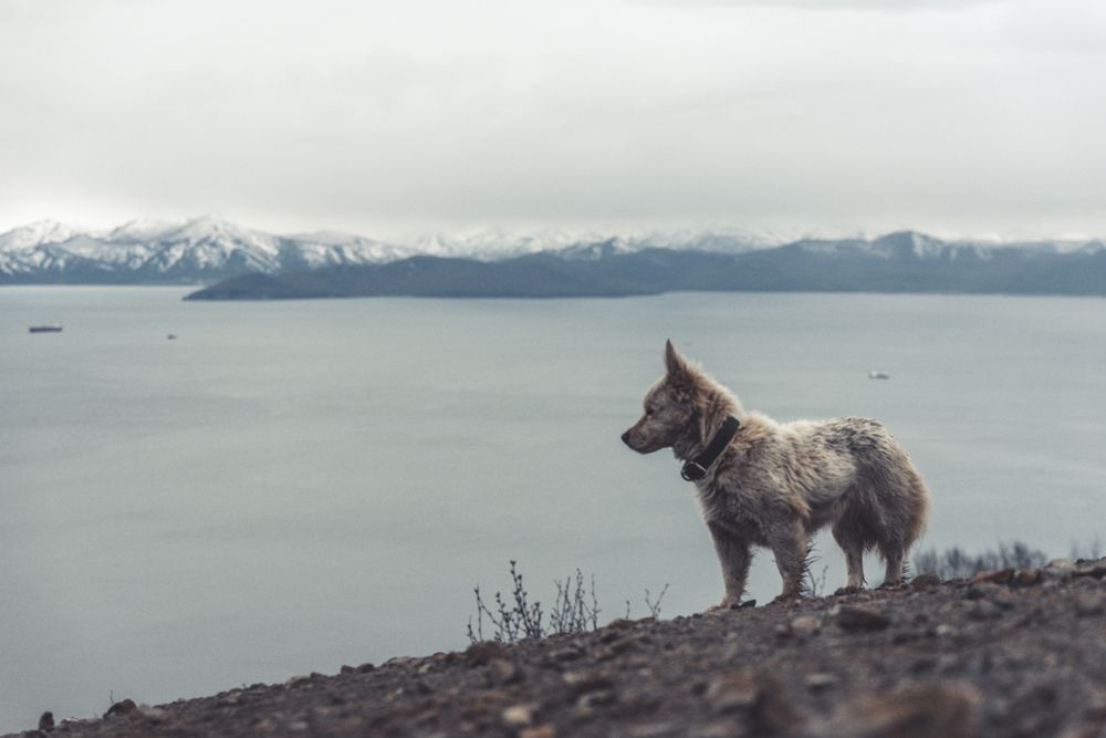 Photograph by Сергей Лексин