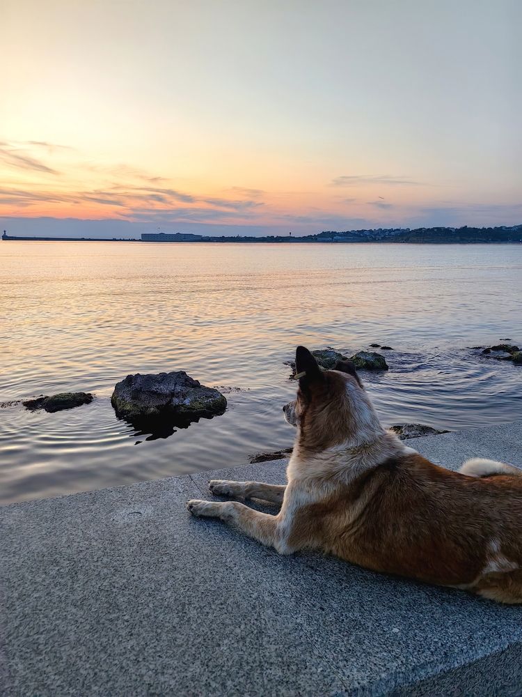 Photograph by OLGA MIKHNEVICH