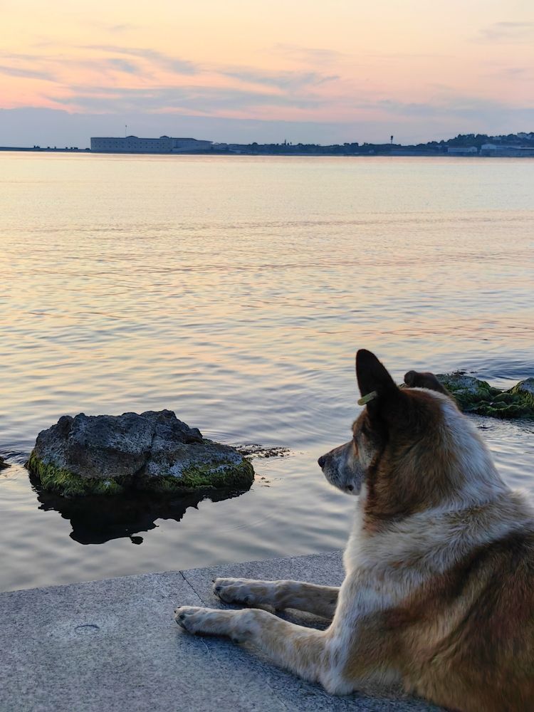 Photograph by OLGA MIKHNEVICH