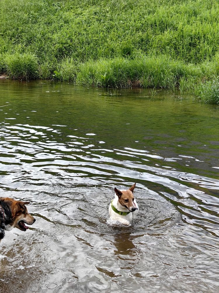 Photograph by OLGA MIKHNEVICH