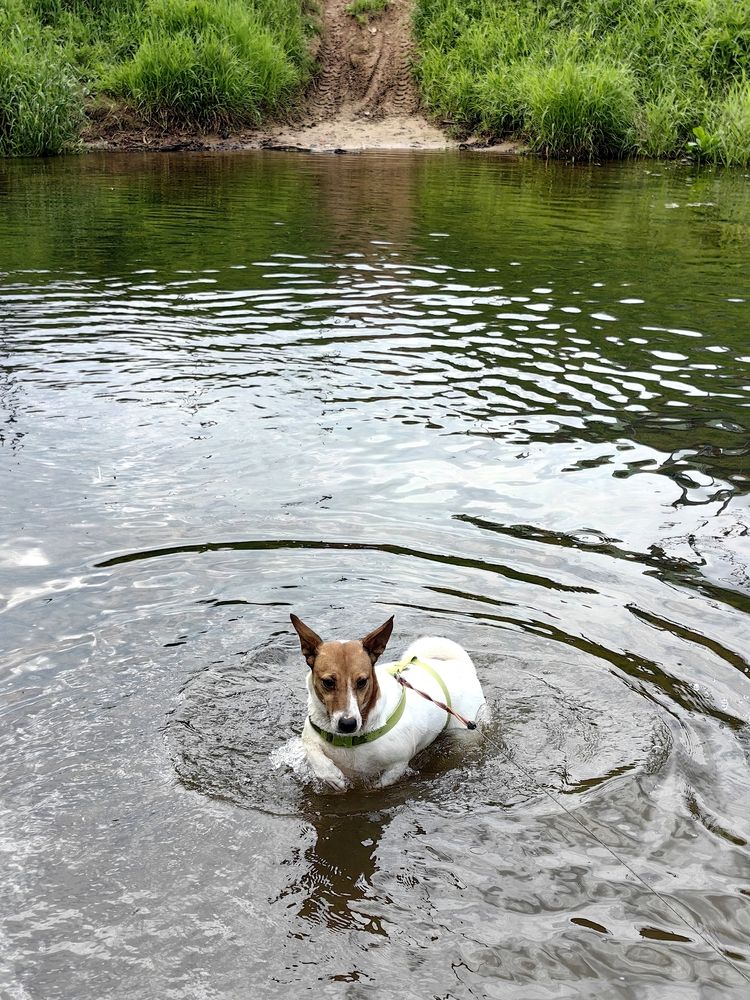 Photograph by OLGA MIKHNEVICH