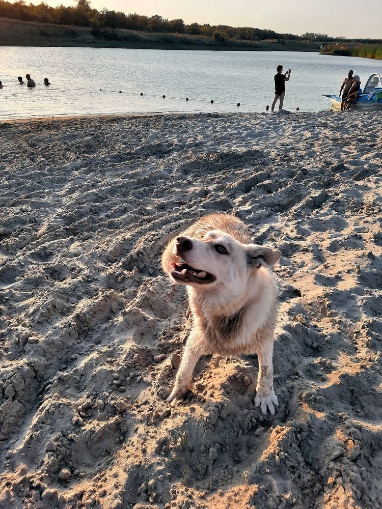 Photograph by OLGA MIKHNEVICH