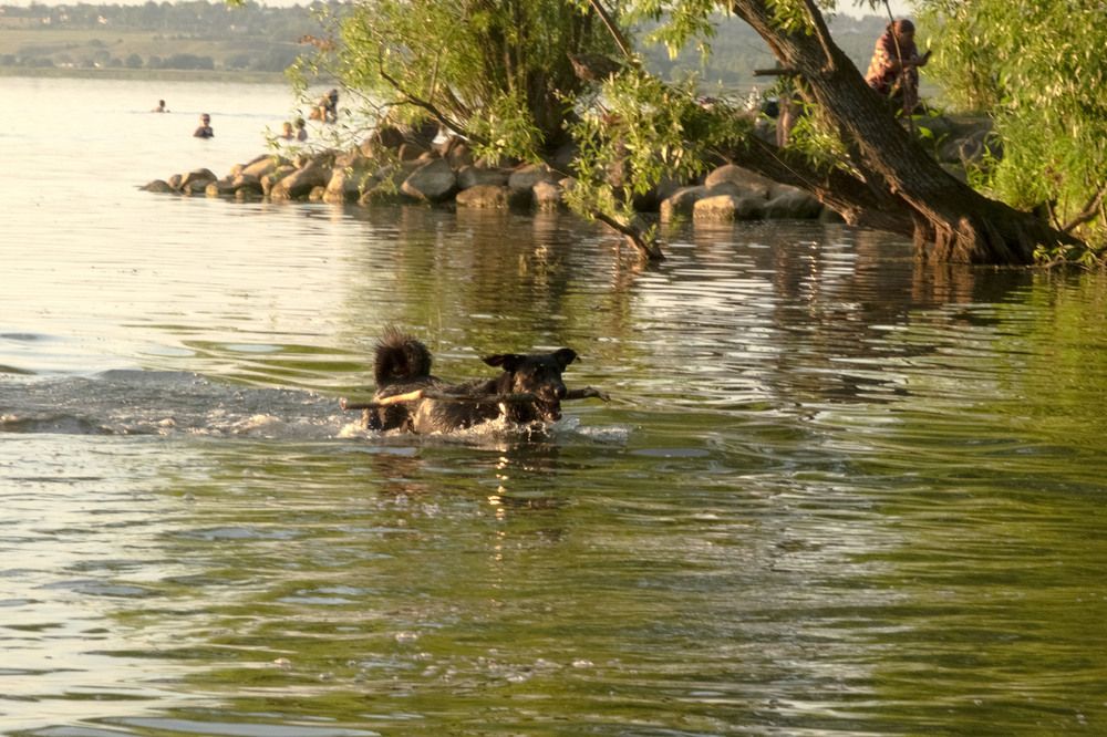 Фотография автора Наталья Липовская