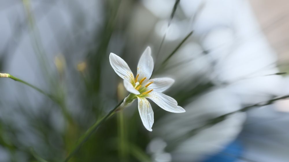 Photograph by Дарья Андрийчук