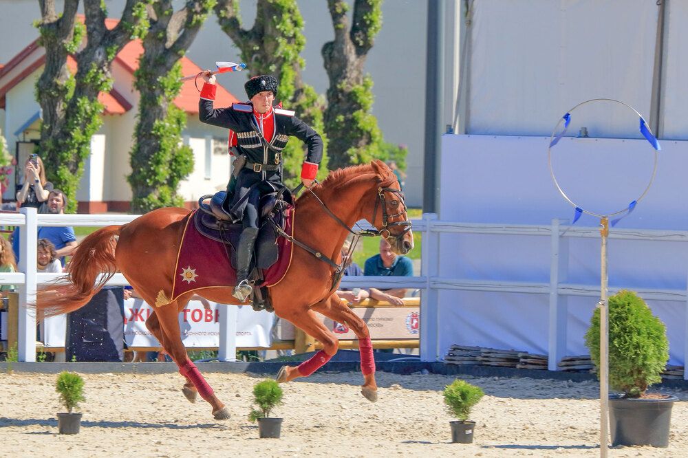 Фотография автора Светлана Долотова