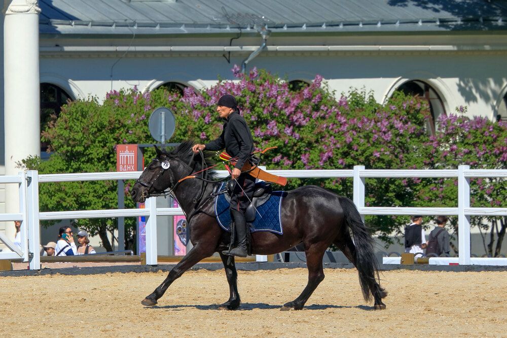 Фотография автора Светлана Долотова