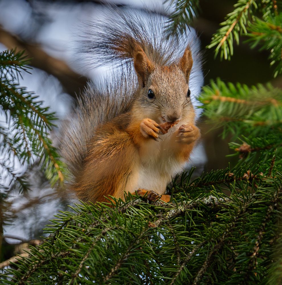 Photograph by Курлянцев Алексей