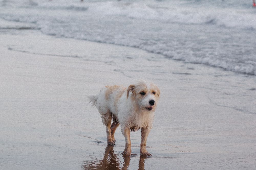 Photograph by Ольга Денисова