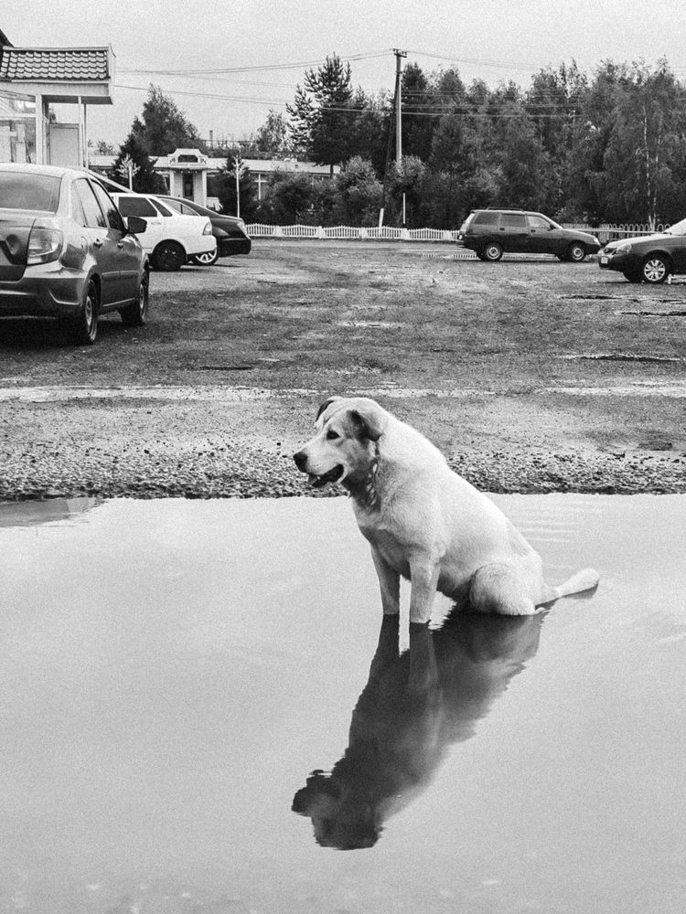 Photograph by Ольга Денисова