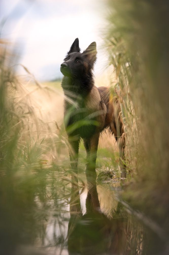 Photograph by Tatiana Piskun