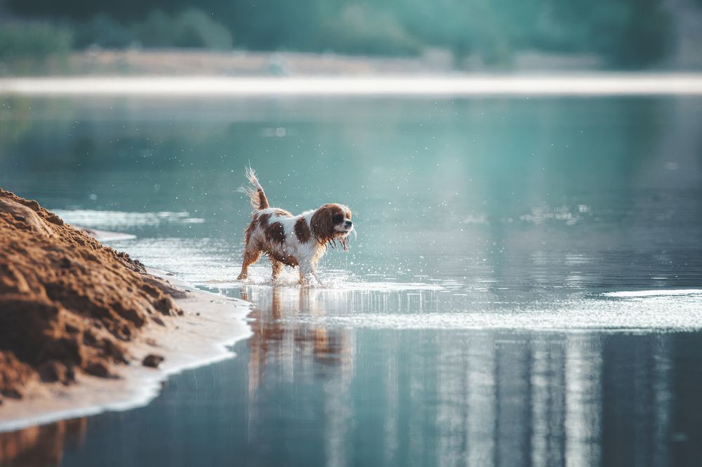 Photograph by Зубкова Юлия