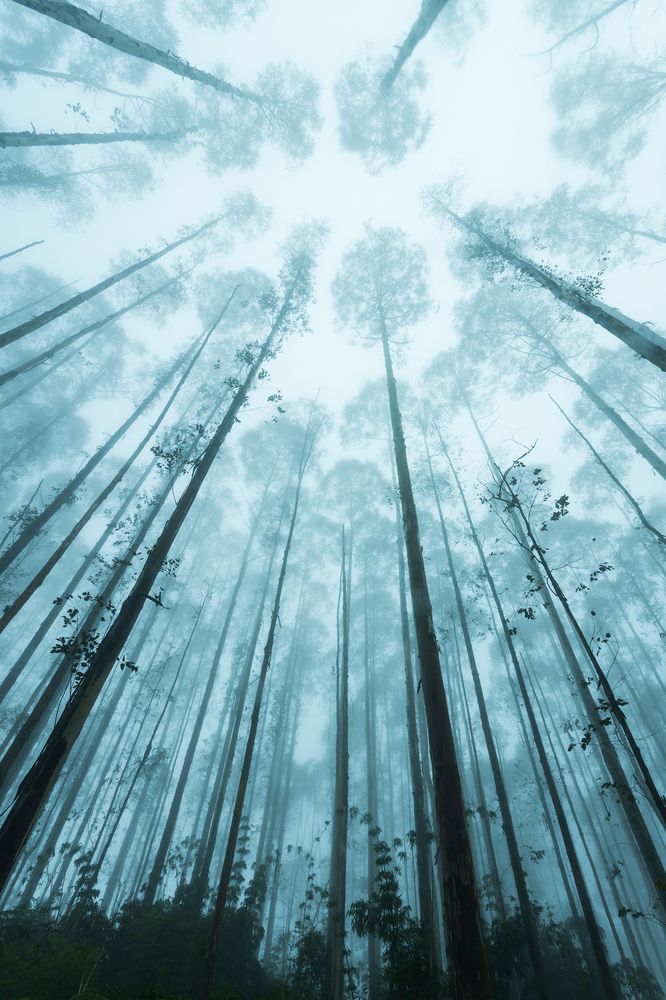Photograph by Valdir Hobus