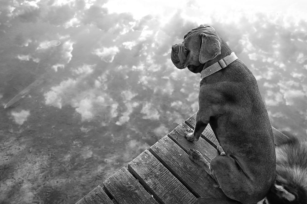 Photograph by Наталья Суслова