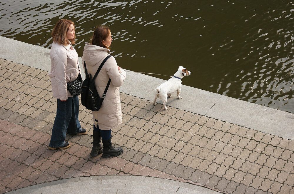 Photograph by Дмитрий Ткаченко