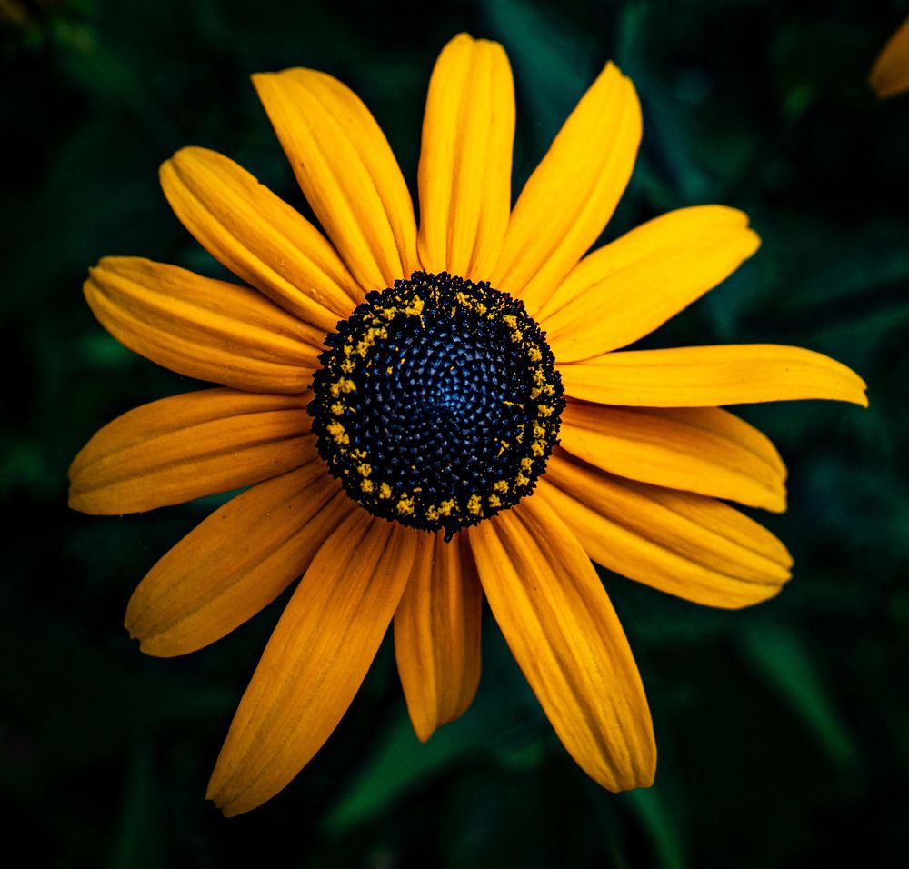 Фотография автора Mutsuaki