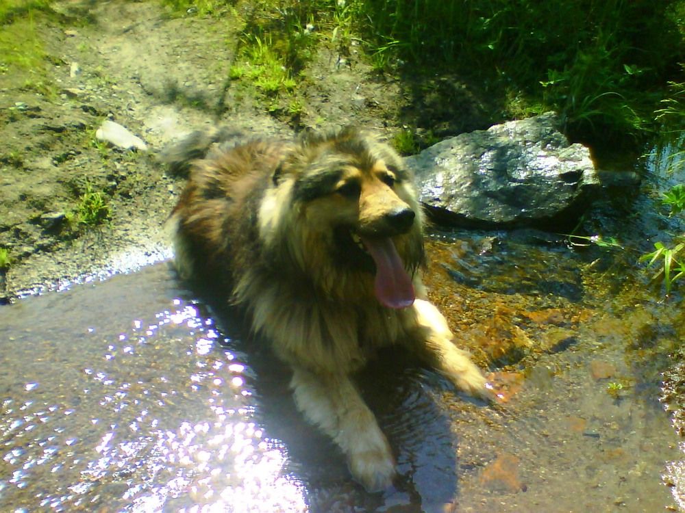 Photograph by Максим Владимирович