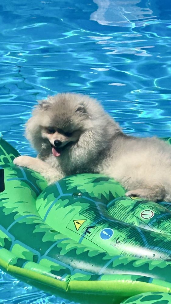 Photograph by Виктория Максименко