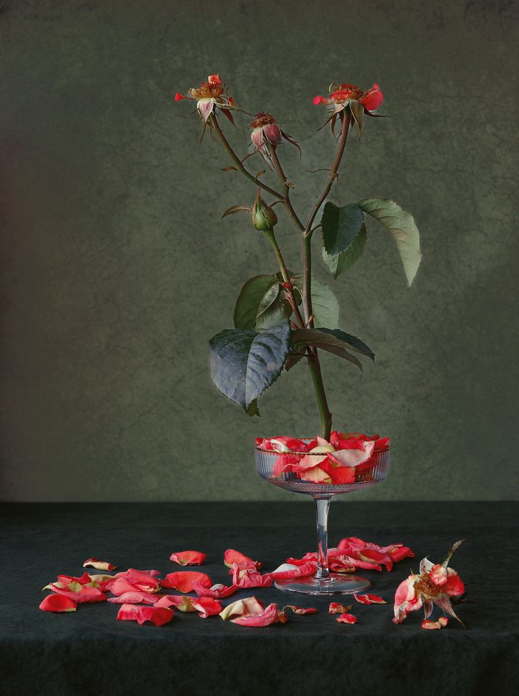 Photograph by Ольга Чибисова