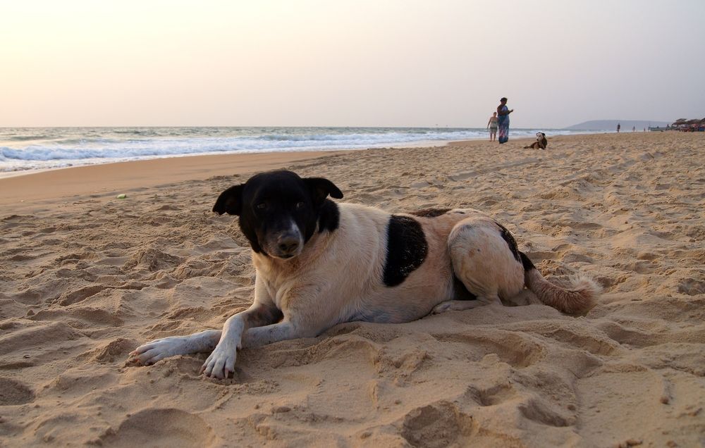 Photograph by Светлана Стрельцова