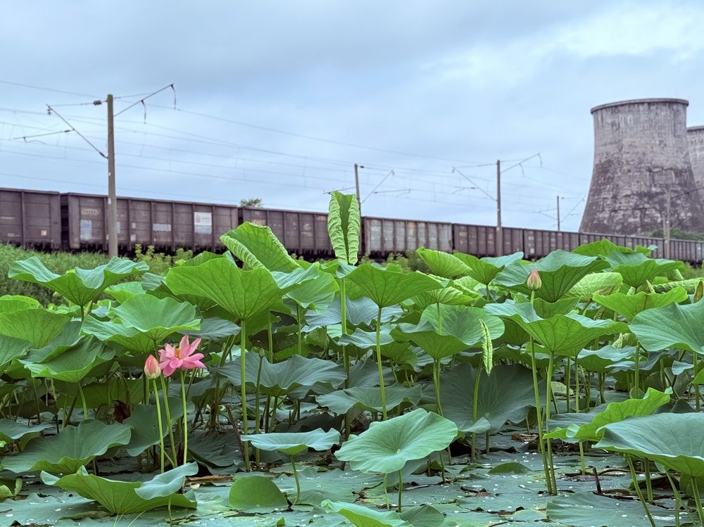 Photograph by Ольга Семибратская