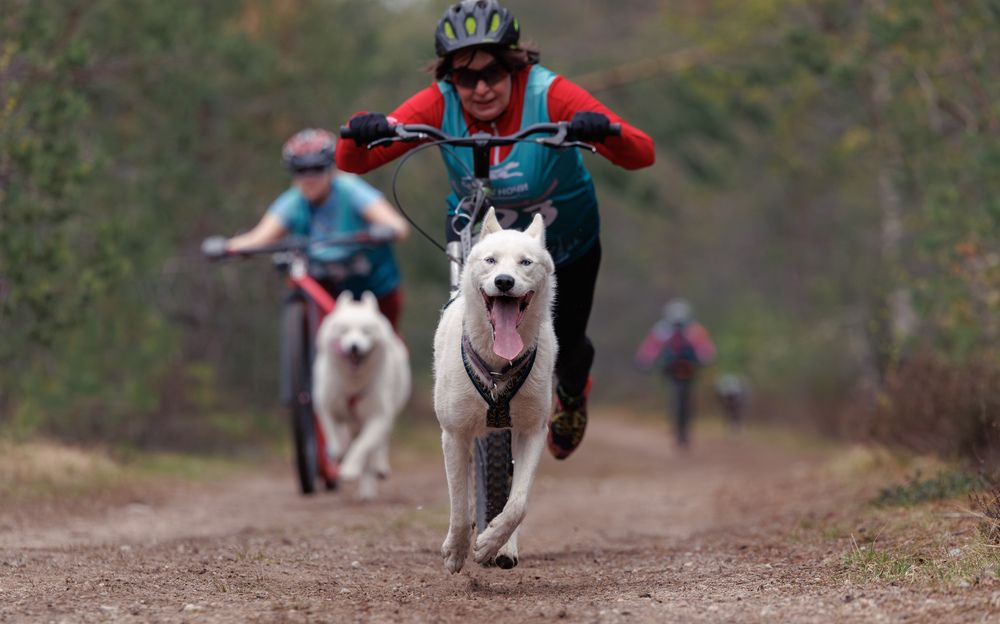 Photograph by Илья Юфа