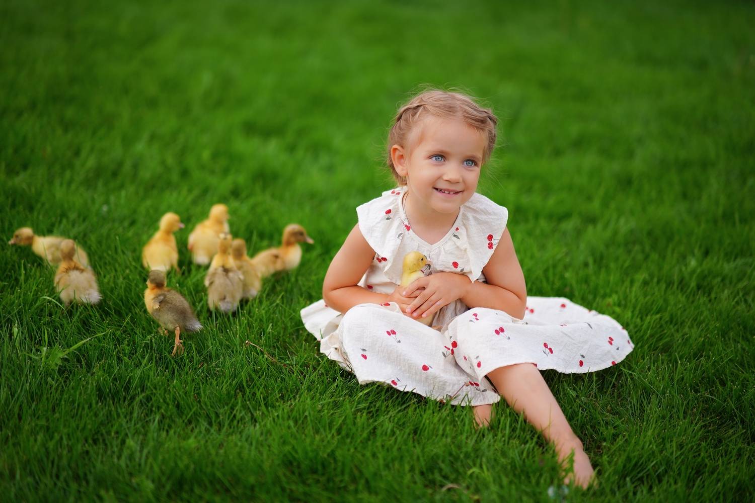 Photo #12434518
