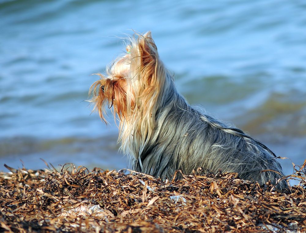 Photograph by Савоцкий Роман