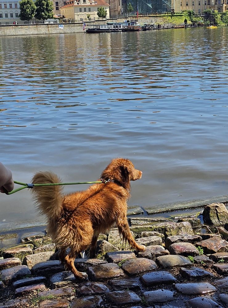 Фотография автора Oksana Podgorodetska