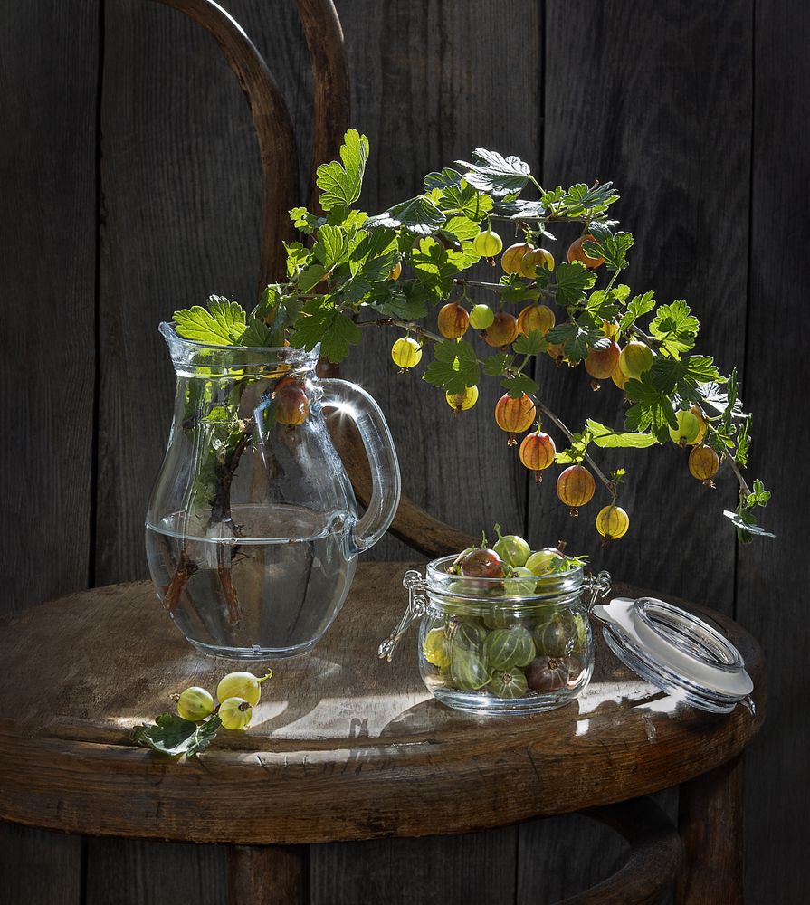 Крыжовник поспел