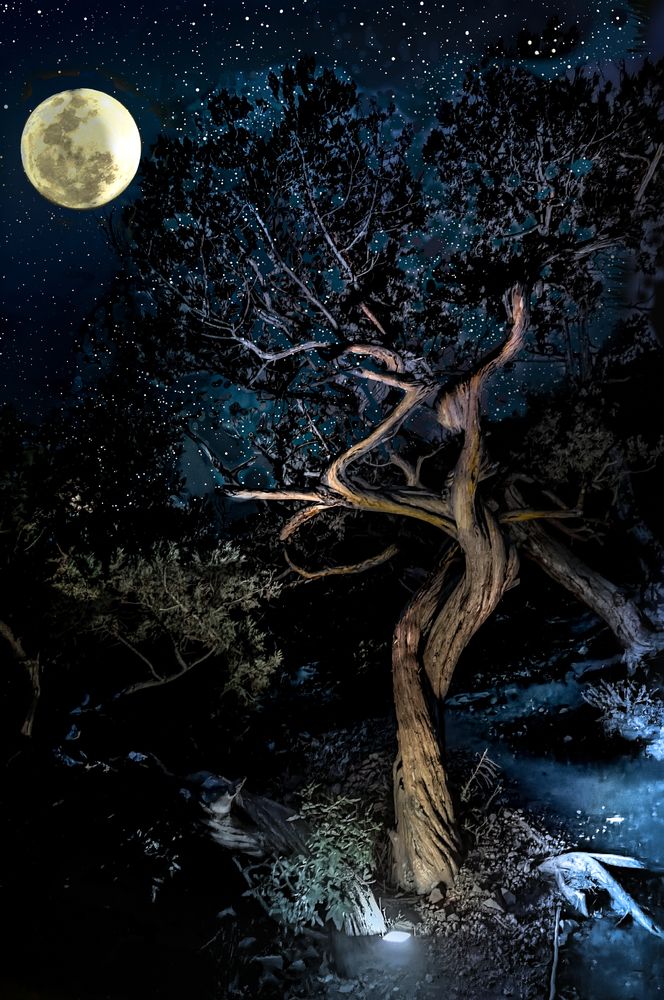 Photograph by Александр Разумов