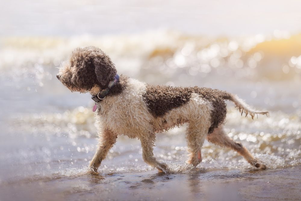 Photograph by Dmitry Ishniyazov