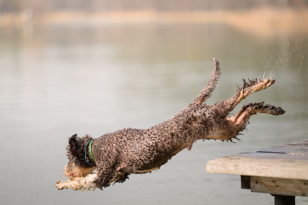 Photograph by Dmitry Ishniyazov