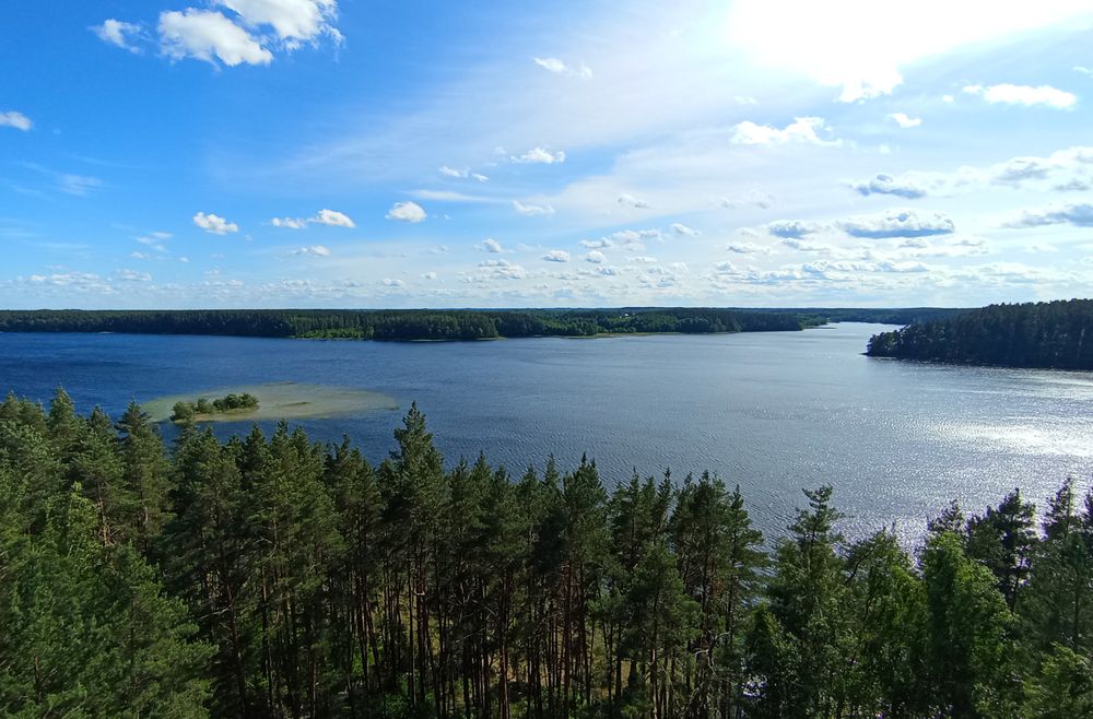 Photo #12434777