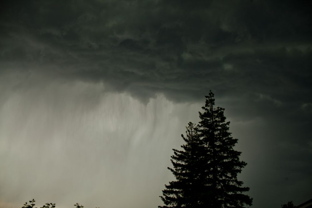 На ужин был дождь