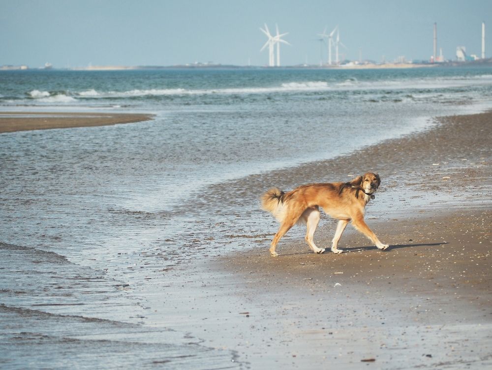 Photograph by Ирина Протченко