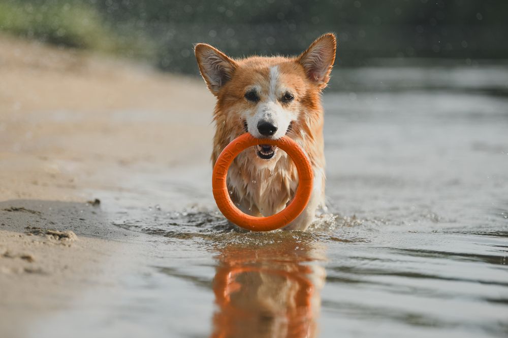 Photograph by Алена Ковалёва