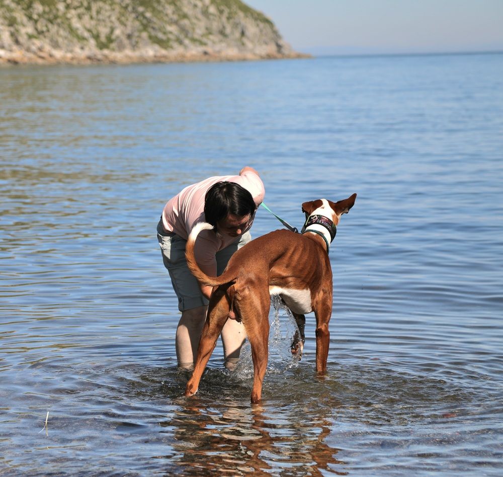 Photograph by Лариса Ким