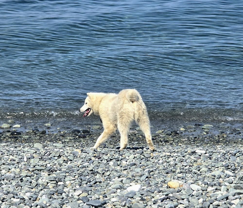 Photograph by Лариса Ким