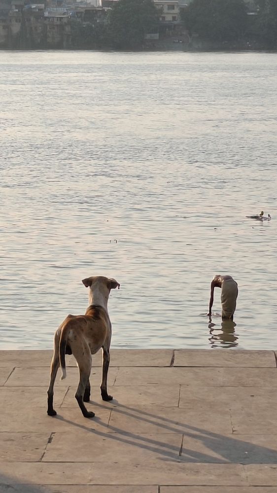 Фотография автора Shreyan Dey Sarkar