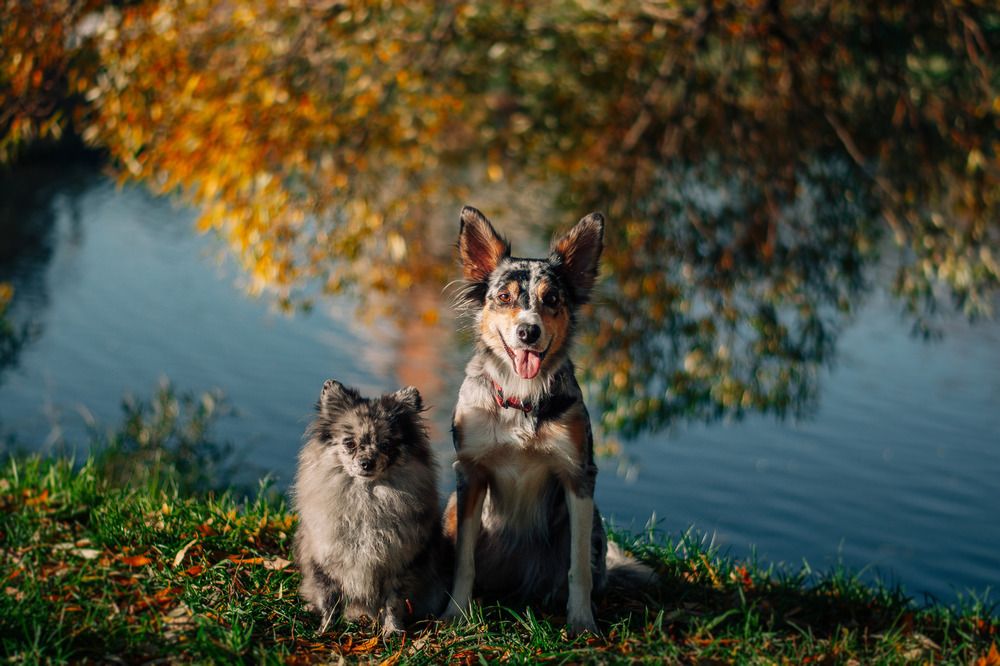 Photograph by Яна Макеева