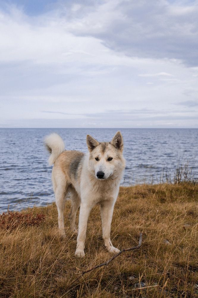 Photograph by Юлия Горчакова