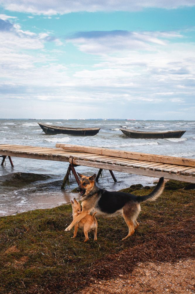 Photograph by Юлия Горчакова