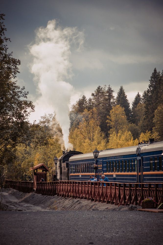 Photograph by Юлия Горчакова