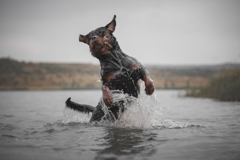 Photograph by Кудлай Яна