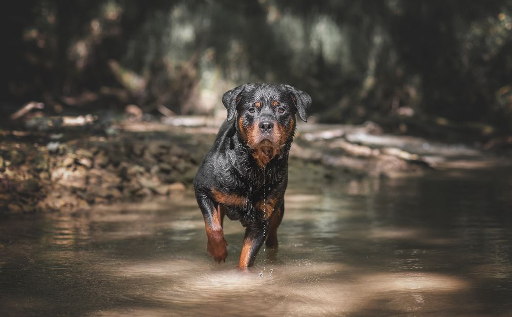 Photograph by Кудлай Яна